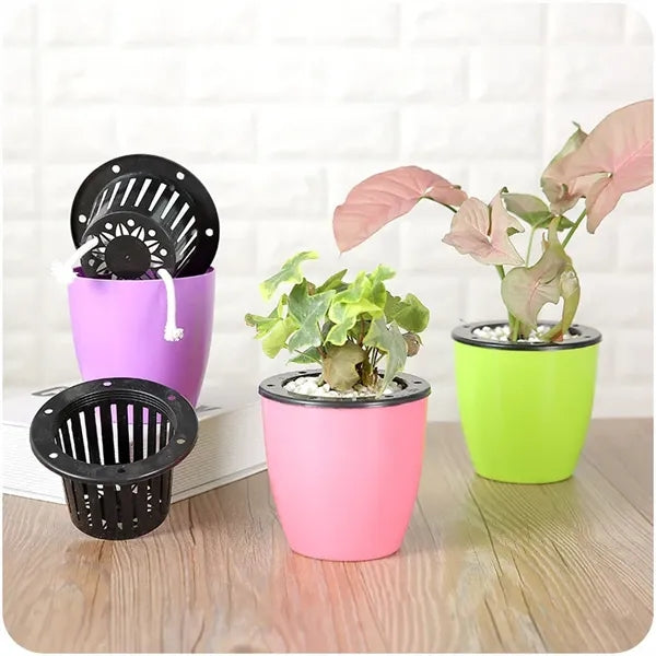 Colorful Automatic Self-watering Planter Pot