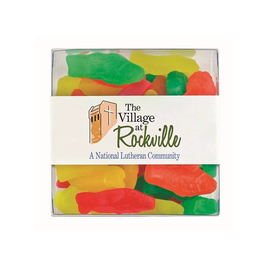 Square Acetate with Assorted Fish