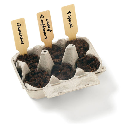 Wildflower Seed Garden Grow Kit