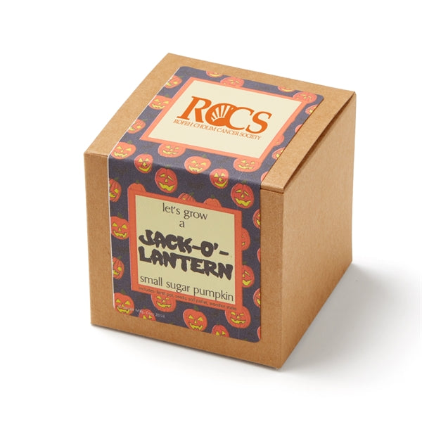 Small Sugar Pumpkin Seed Growable Planter in Kraft Gift Box