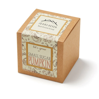 Small Sugar Pumpkin Seed Growable Planter in Kraft Gift Box