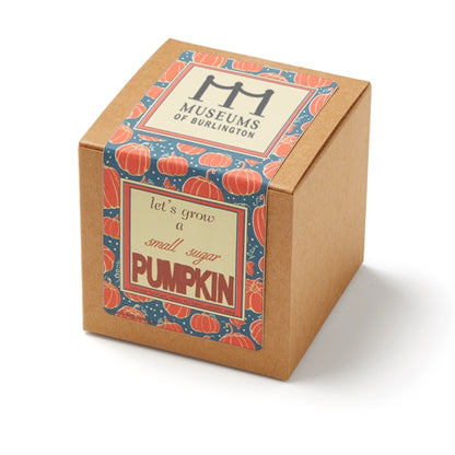 Small Sugar Pumpkin Seed Growable Planter in Kraft Gift Box
