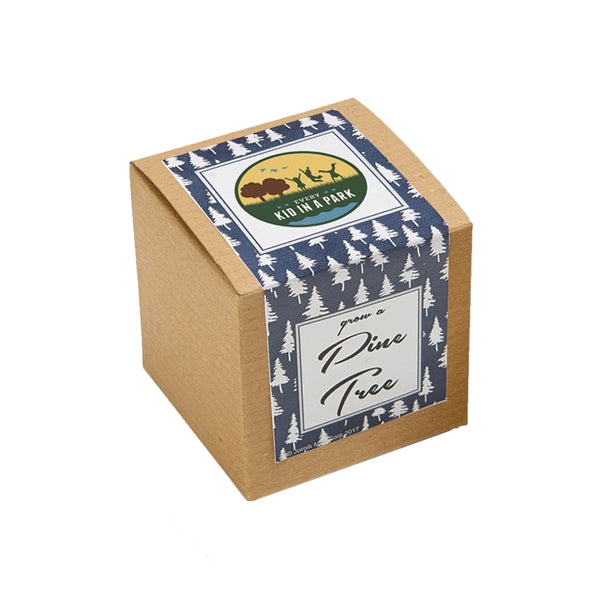 Pine Tree Seed Growables Planter in Kraft Gift Box