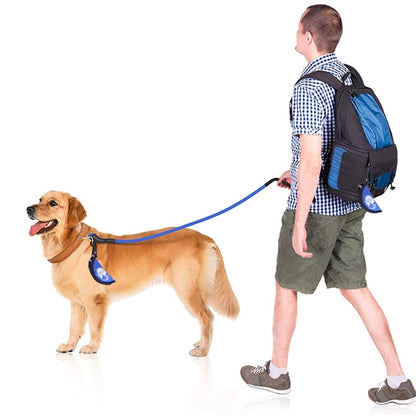 Collapsible Pet Bowl