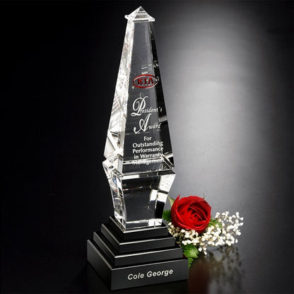 Epitome Award 101/2