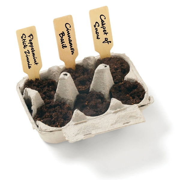 Winter Wonderland Seed Grow Garden Kit