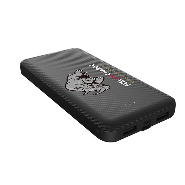 10000 MAH CARBON FIBER POWER BANK