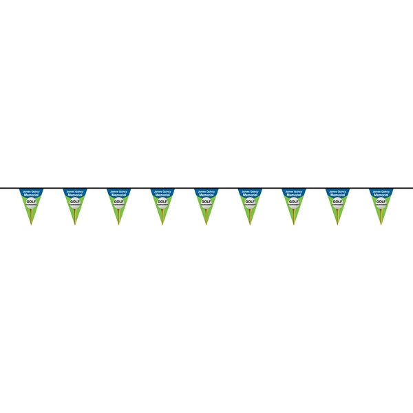 30' PVC Triangular Pennant String