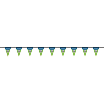 30' PVC Triangular Pennant String