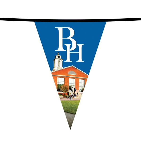 60' PVC Triangular Pennant String