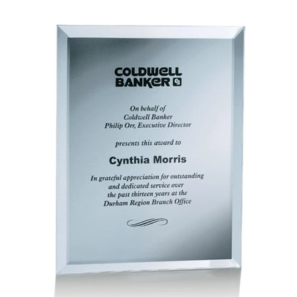 Mirror Plaque - Silver