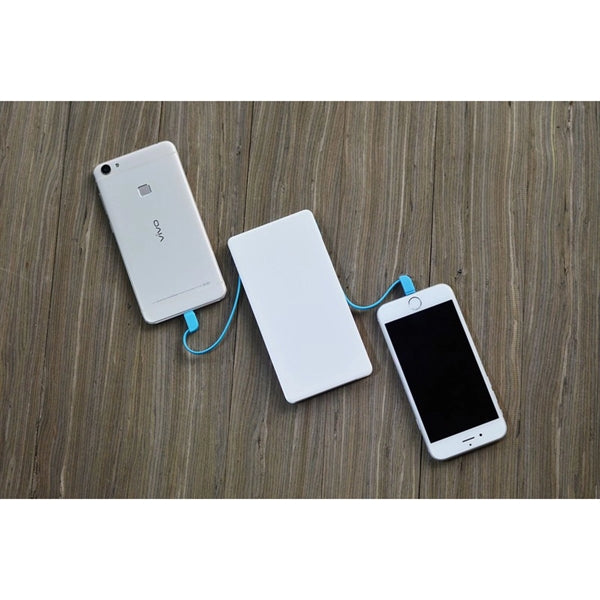 Dual Usb Cable Power Bank