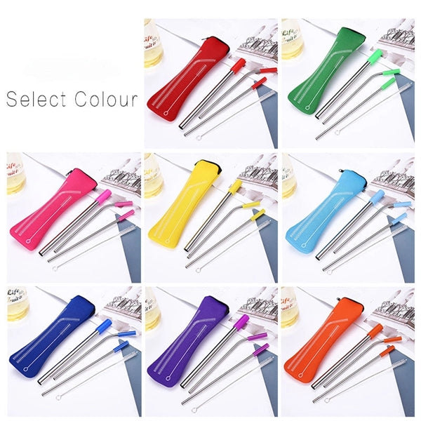 Stainless Steel Drinking Straw Set with  Package