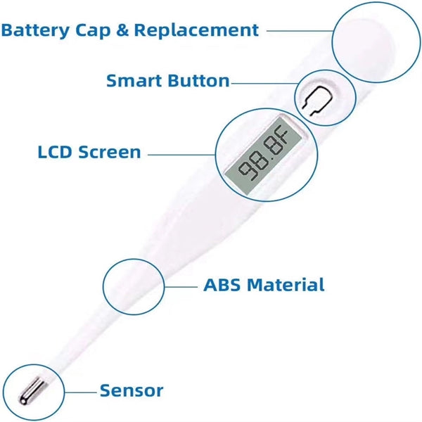 Basic Digital Thermometer