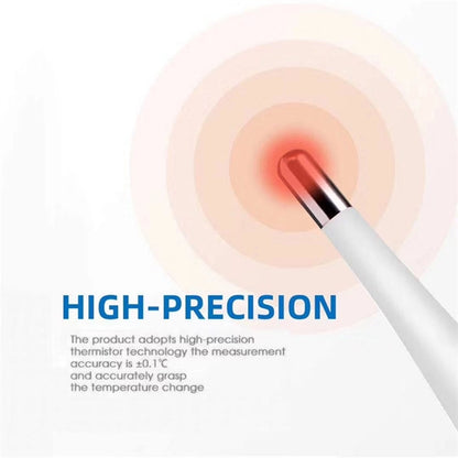 Basic Digital Thermometer