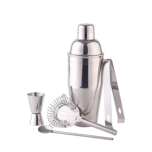 Stainless Steel Cocktail Shaker Set