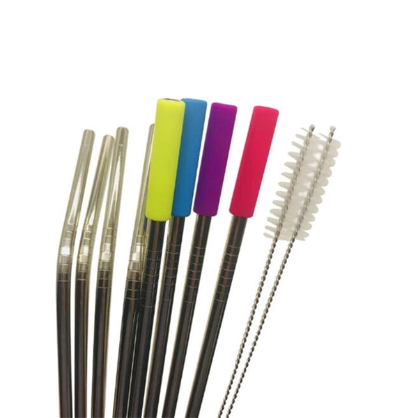 Stainless Steel Straw with Silicone Tip