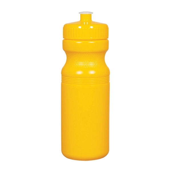 24 oz. Translucent Sports Bottle
