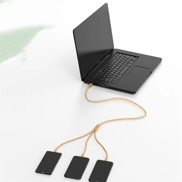3 in 1 Charger Cable