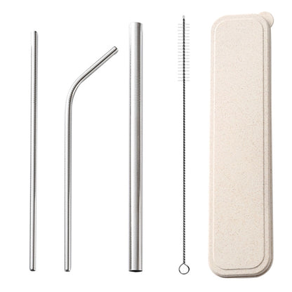 Stainless Straw On The GO Kit Large