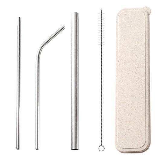 Stainless Straw On The GO Kit Large