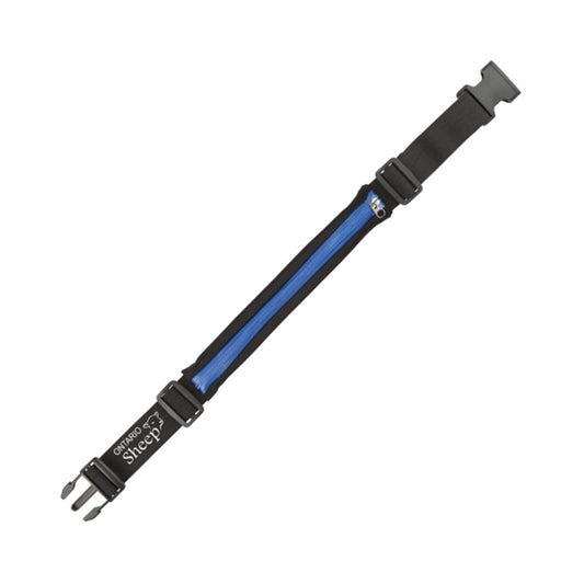 Sprinter Running Belt