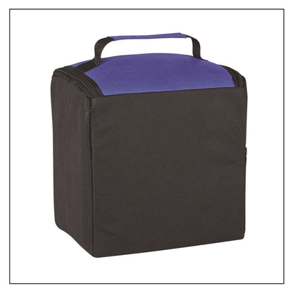 Budget-Savvy's Lunch Cooler