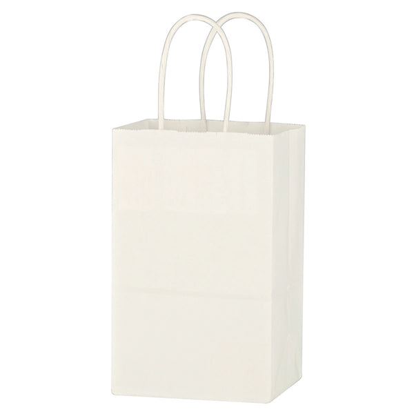 Recyclable Paper Shopping Bag