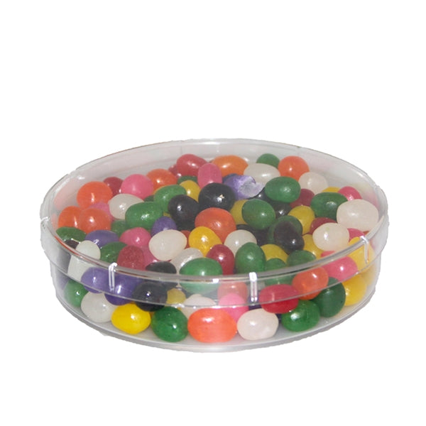 Large Circular Container Show Piece