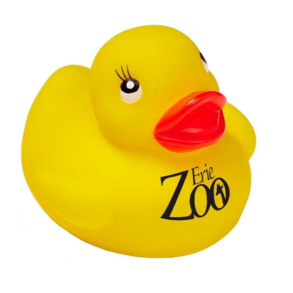 Rubber Ducks