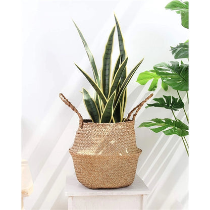 Woven Seagrass Belly Basket for Storage Plant