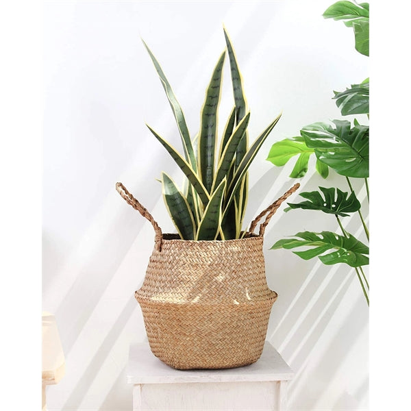 Seagrass Belly Basket - Woven Plant Pot