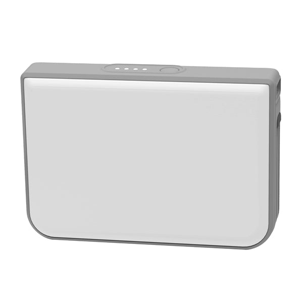 Dalpal Power Bank