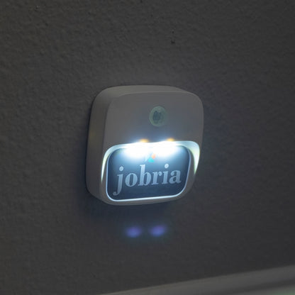 Night Owl Motion Light