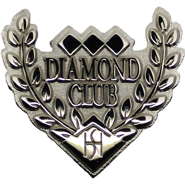 Diestruck Sandblasted Lapel Pins