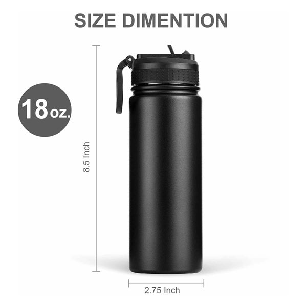 18oz.Travel Stainless Insulated Bottle w/ Lid,Straw & Handle