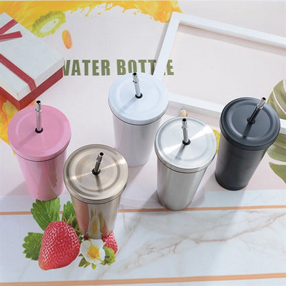 Stainless Steel Tumbler with Lid and Straw 17.5 OZ
