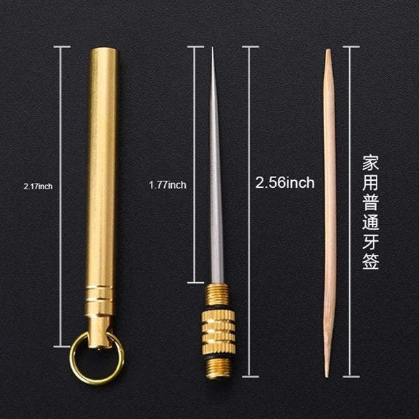Stainless steel portable toothpicks