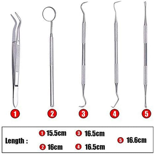 Professional Dental Tool Set