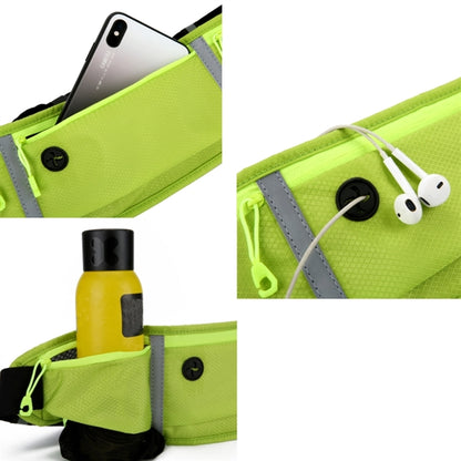 Running Belt