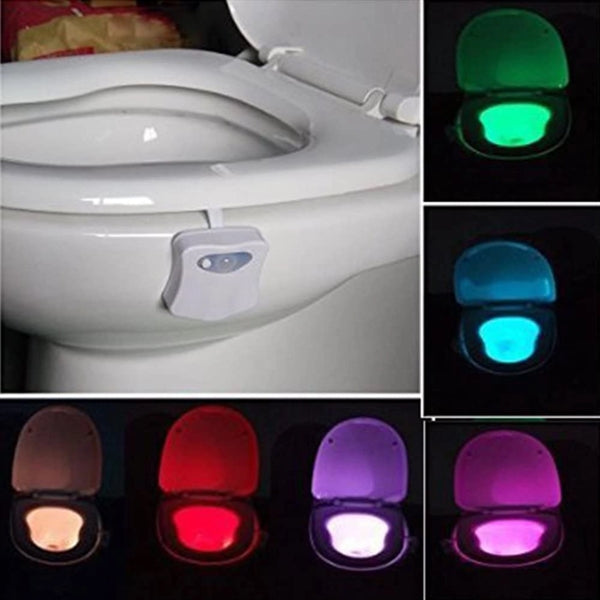 Toilet night light