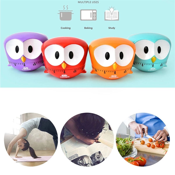 Mechanical Timer