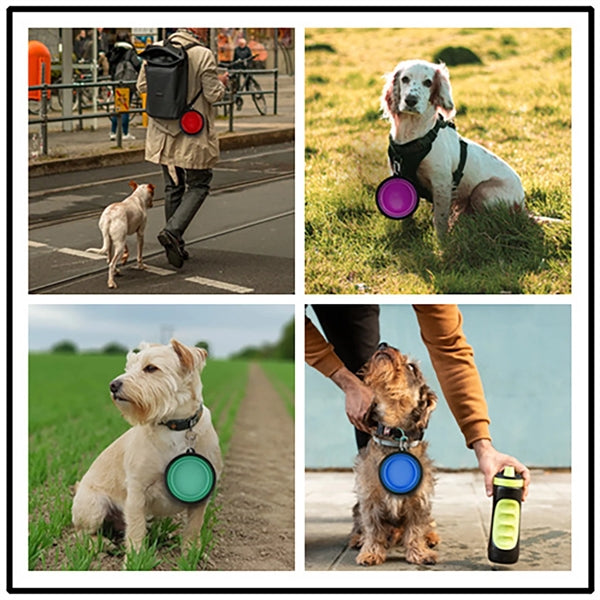 Collapsible Dog Bowl