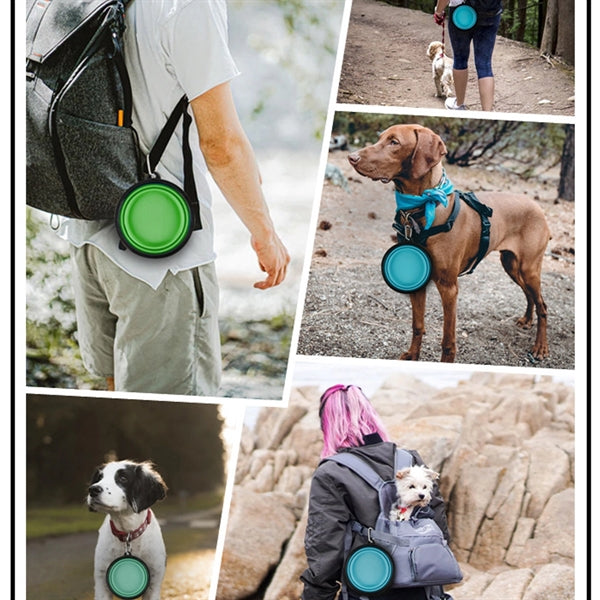 Collapsible Dog Bowl