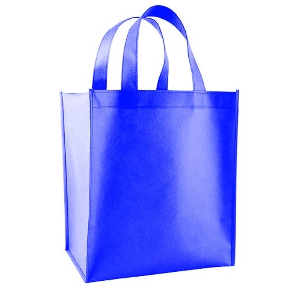 Cost Effective Small Grocery Bag