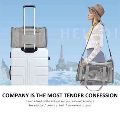 Cat Carriers Dog  Pet
