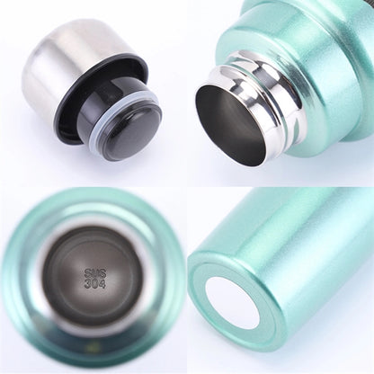 16 oz Insulated Stainless Steel Cup