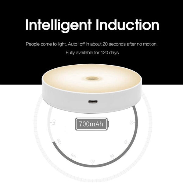 Intelligent LED induction light