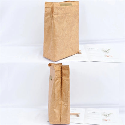DuPont Lunch Bag