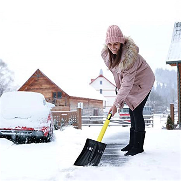 Ice Scraper and Snow Brush